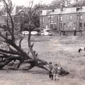 Rough land near Sugar Well Hill pictured in July 1977.
