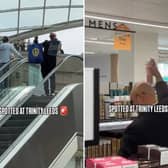 'Pitbull' spotted in Trinity Leeds
