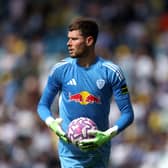 Illan Meslier is set to join Arsenal.