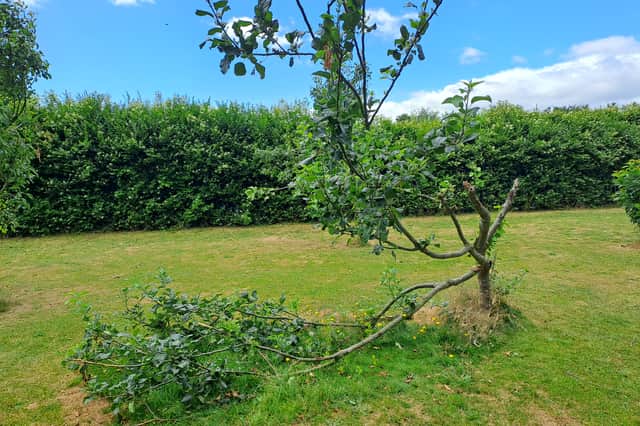 Branches were snapped during incidents of anti-social behaviour at the site in Chapeltown’s Potternewton Park.