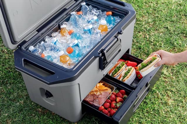 The Ninja FrostVault 47L cool box has a separate Dry Zone drawer and can keep ice for up to five days