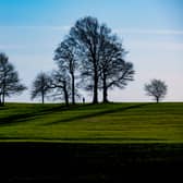 Roundhay Park is among one of the most visited green spaces in Leeds, according to the survey,