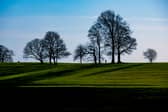 Roundhay Park is among one of the most visited green spaces in Leeds, according to the survey,