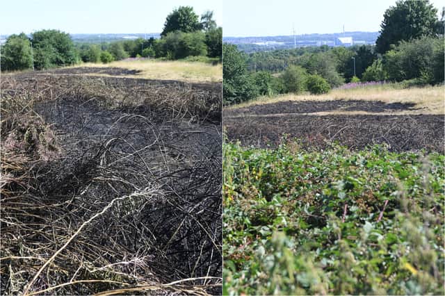 The fire broke out near Orion Way on Sunday evening.