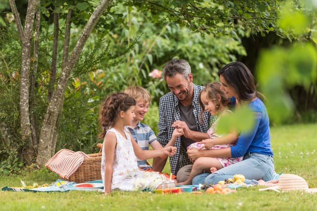 Sainsbury's three for £8 picky bits deal includes a wide selection of quick and easy family favourites. Stock image.