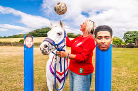 Kate Wobschall, owner of Gordon, (named after Anthony Gordon) has become the Yorkshire Evening Post psychic pony. Gordon predicted the last result of the England match and once again he hope's to repeat this with his prediction for their next World Cup match against Argentina tomorrow night. Picture By James Hardisty. Date: 14th July 2026.