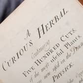 The Thackray Museum of Medicine will display a rare copy of Elizabeth Blackwell’s 1730s masterpiece 'A Curious Herbal' as part of its new summer exhibition