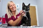 Palmer & Duncan Vets in Ossett, West Yorkshire has achieved cat-friendly clinic status. veterinary nurse Jo Wood with Nova Nelson the cat in a consultation room.