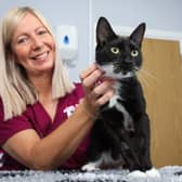 Palmer & Duncan Vets in Ossett, West Yorkshire has achieved cat-friendly clinic status. veterinary nurse Jo Wood with Nova Nelson the cat in a consultation room.