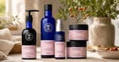 Some of the stand out hero products in the Neal's Yard Remedies' Wild Rosehip skincare collection