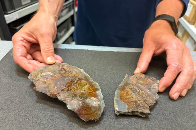 The remarkable Leeds fossil was found by Ru Smith of the Yorkshire Geological Society during a reconnaissance walk he was carrying out ahead of a planned field excursion in the north Leeds park.