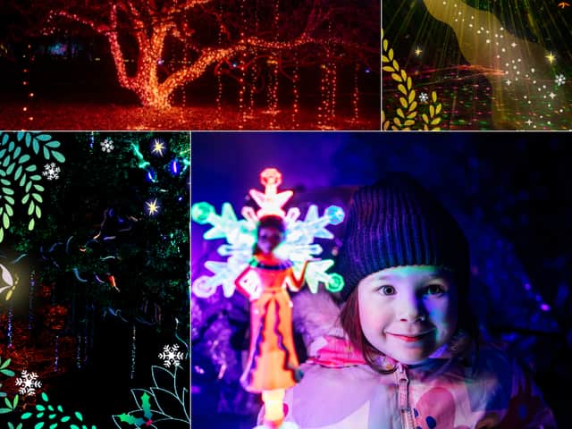 There may be faeries at this year's Northern Lights Leeds trail, as Creative Director Helen Wells explains the reasons future you might just benefit from picking up something for Christmas this early.