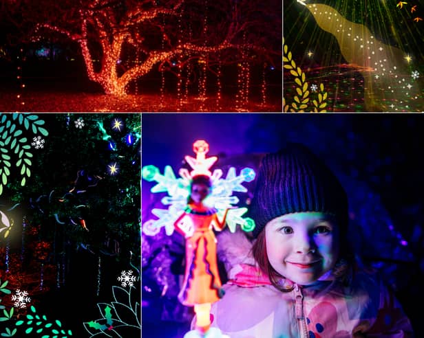 There may be faeries at this year's Northern Lights Leeds trail, as Creative Director Helen Wells explains the reasons future you might just benefit from picking up something for Christmas this early.