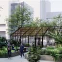 Botanic Garden Plan