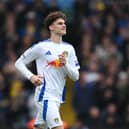 Harry Gray will spent next season on loan at Sheffield Wednesday.