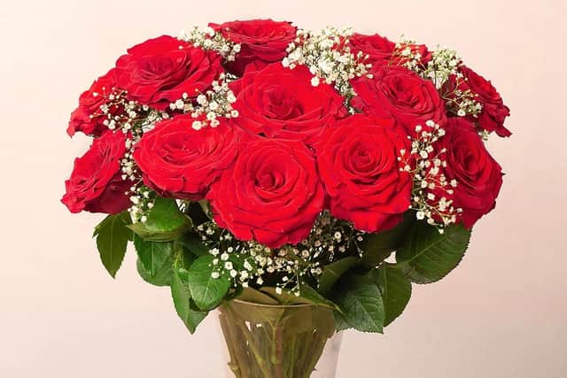 12 Red Roses & Gypsophila