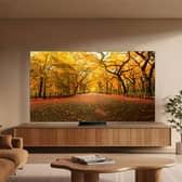 TCL Electronics specialises in the research, development and manufacturing of consumer electronics