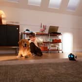 The Enabot Ebo Max combines a 4K mobile camera, two-way calls and pet tracking in one compact home robot.