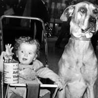Mini gallery of memories take you inside Leeds Merrion Centre in the 1970s