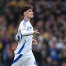 Harry Gray should relish the pressure of a League One promotion race with Sheffield Wednesday.