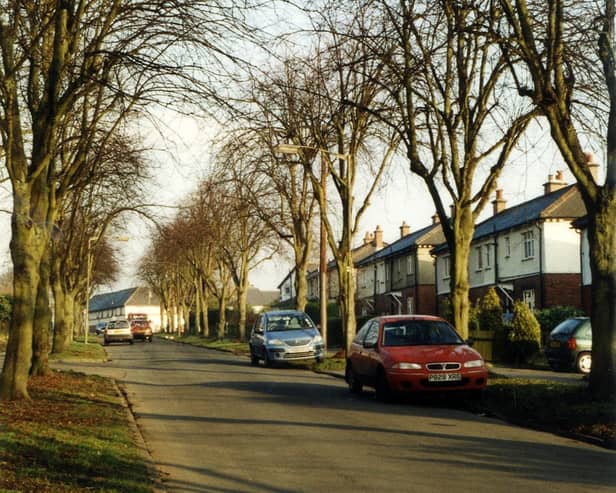 Stanhope Drive showing part of the avenue of trees planted as a memorial to the 211 men and one woman from the town who gave their lives in the First World War. 