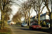 Stanhope Drive showing part of the avenue of trees planted as a memorial to the 211 men and one woman from the town who gave their lives in the First World War. 