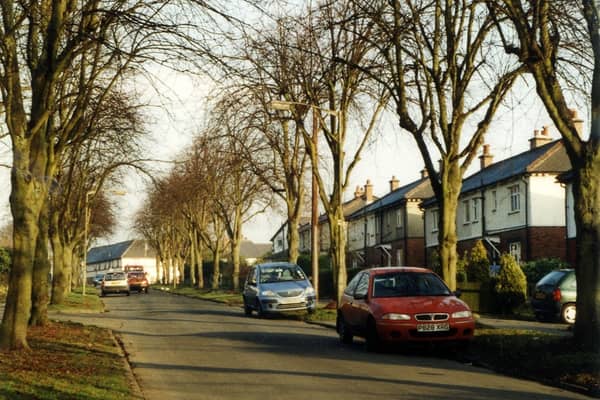 Stanhope Drive showing part of the avenue of trees planted as a memorial to the 211 men and one woman from the town who gave their lives in the First World War. 