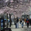 Bradford Council has ruled out a freeze on council tax bills next year