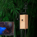Birdfy's nestbox camera lets you watch wildlife blossom from your smartphone screen