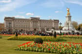 The Original Tour takes in Buckingham Palace 