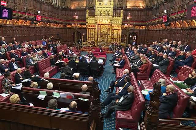 Peers in the House of Lords during the debate for the Terminally Ill Adults (End of Life) Bill last year (House of Lords/UK Parliament/PA)