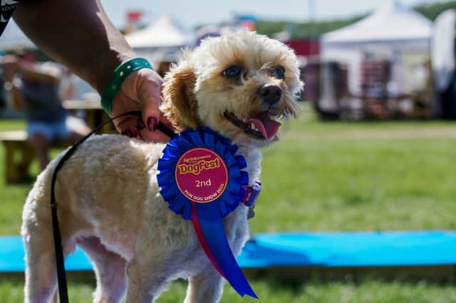 The Agria Fun Dog show will be held at the event at Harewood House.