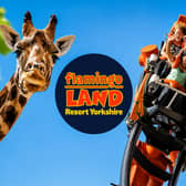 Flamingo Land Resort Yorkshire combines thrilling theme park rides with an award-winning zoo.