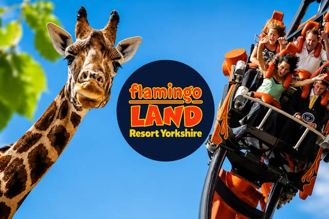 Flamingo Land Resort Yorkshire combines thrilling theme park rides with an award-winning zoo.