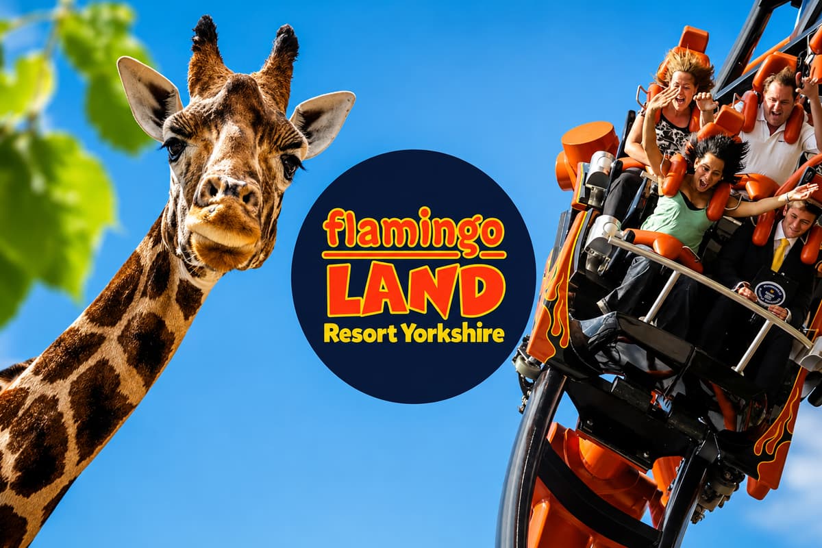 Art Theme Rides HALF-PRICE TICKETS: Save 50% on entry to Yorkshire's Flamingo Land