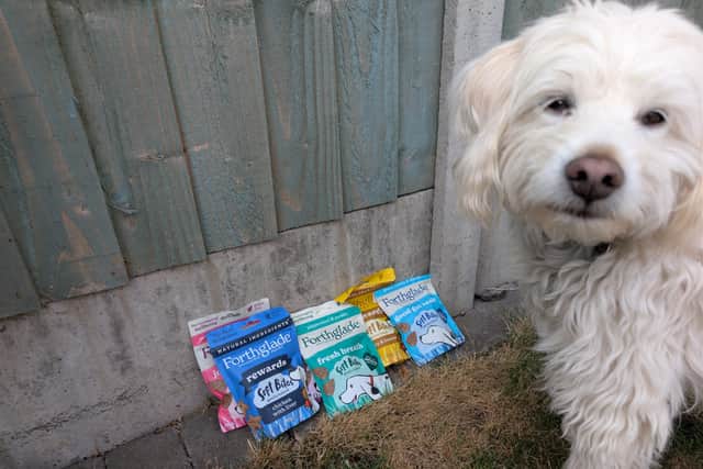 Forthglade's Soft bites multifunctional dog treats multipack offers six 90g bags
