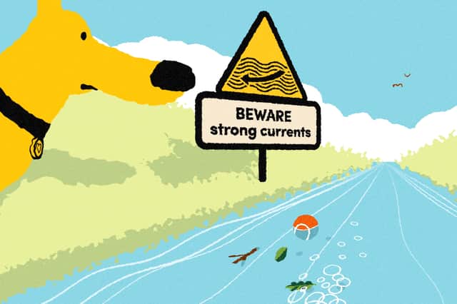 Dogs Trust has issued a warning for dog owners to beware of open water swimming
