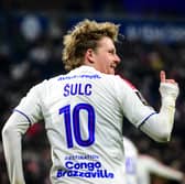 Lyon's Pavel Sulc is attracting plenty of transfer interest.