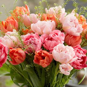 August is an ideal time to start planning ahead for spring.