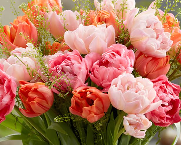 August is an ideal time to start planning ahead for spring.