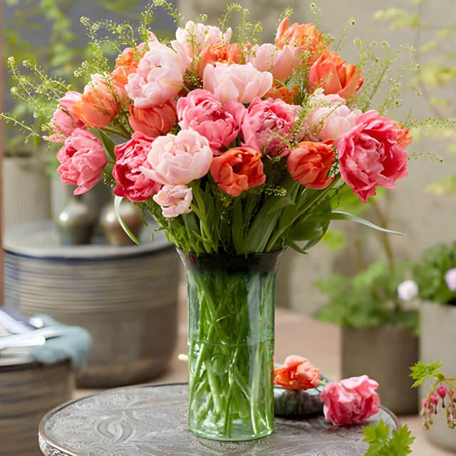 Unlike traditional tulips, these double-flowering varieties produce large, ruffled blooms that closely resemble peonies.