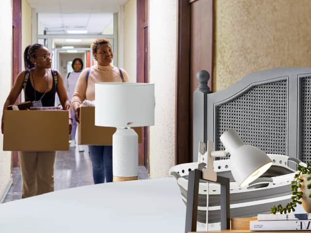 Essential budget picks to turn a basic university dorm into home without breaking the bank.