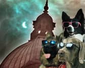 Leeds dog owners are being advised on how to keep their pets calm during tonight's solar eclipse - and why you definitely shouldn't try putting eyewear on them