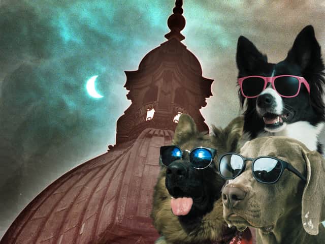 Leeds dog owners are being advised on how to keep their pets calm during tonight's solar eclipse - and why you definitely shouldn't try putting eyewear on them