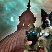 Leeds dog owners are being advised on how to keep their pets calm during tonight's solar eclipse - and why you definitely shouldn't try putting eyewear on them