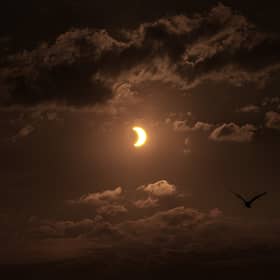 Birds fly past a partial solar eclipse, seen over Liverpool Bay from Crosby Beach on 12 August 2026 in Liverpool, United Kingdom.