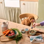 Small changes, such as a tasty topper or new treat, can make familiar dog dinners more exciting. These changes are possible with Forthglade.