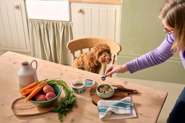 Small changes, such as a tasty topper or new treat, can make familiar dog dinners more exciting. These changes are possible with Forthglade.