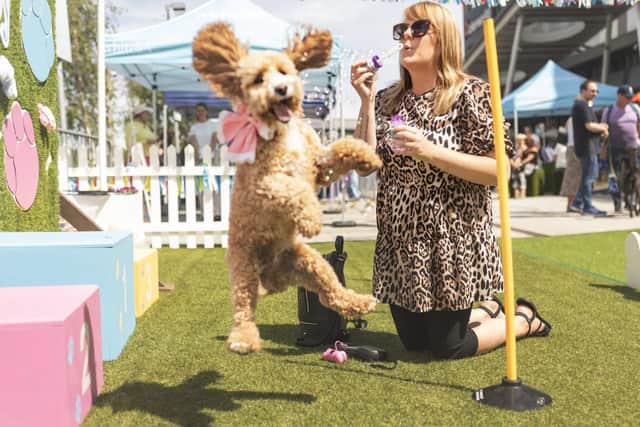 Paws in the Park will take place in Aire Park, Leeds on September 12