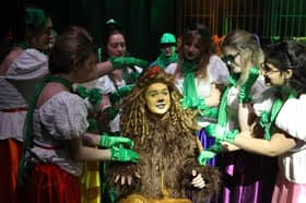 Will as the Cowardly Lion in a recent GSAL production of The Wizard of Oz